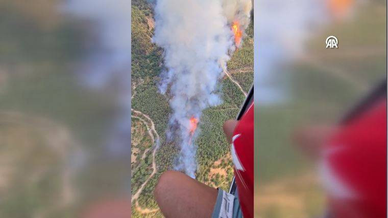 Aydın’ın Çine ilçesinde orman yangını - Resim: 13